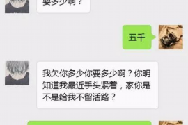 昌江昌江的要账公司在催收过程中的策略和技巧有哪些？